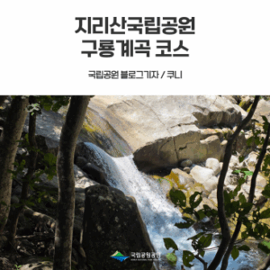 [지리산국립공원] 구룡계곡 코스 여름 트레킹