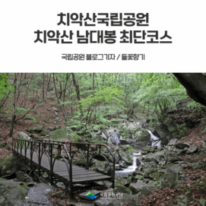 [치악산국립공원] 치악산 산행 남대봉 왕복 최단코스 상원사계곡