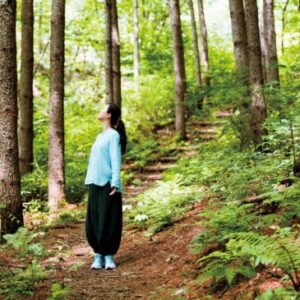 '무위의 자유' 누구나 쉬어갈 권리가 있는, 여름 숲 여행지 3선