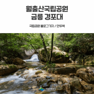 [월출산국립공원] 금릉 경포대 계곡 여름 물놀이