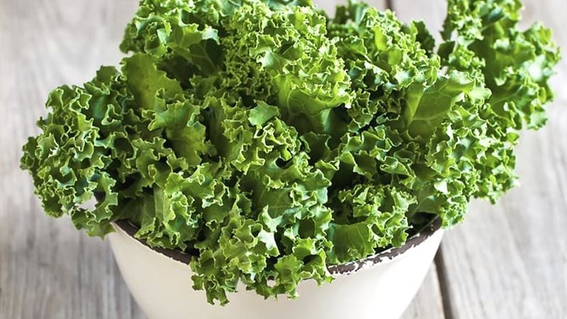 컬리케일(Curly Kale)이란