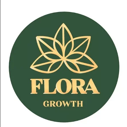 제로스택(ZSTK) 주가 전망 대마초 기업에서 분산형 AI 자산운용사로의 대담한 변신